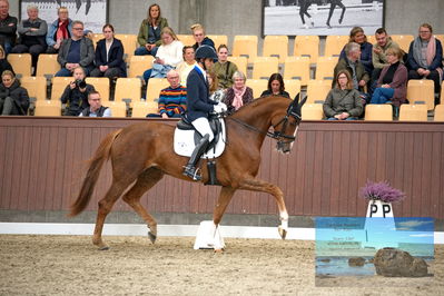 Blue Hors
4 års finale dressur
Keywords: christian tudela ruiz;blue hors bonsai