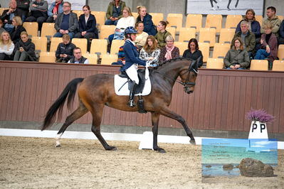 Blue Hors
4 års finale dressur
Keywords: anne troensengård;kastaniegaardeens philina