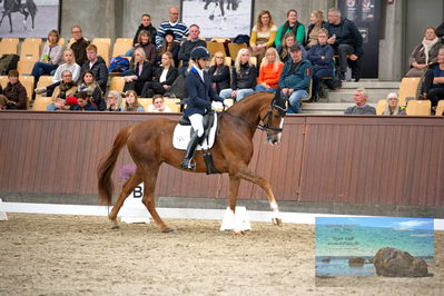 Blue Hors
4 års finale dressur
Keywords: christian tudela ruiz;blue hors bonsai