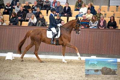 Blue Hors
4 års finale dressur
Keywords: christian tudela ruiz;blue hors bonsai