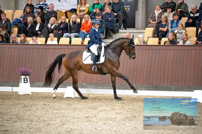 Blue Hors
4 års finale dressur
