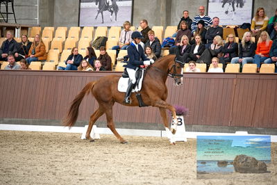 Blue Hors
4 års finale dressur
Keywords: christian tudela ruiz;blue hors bonsai