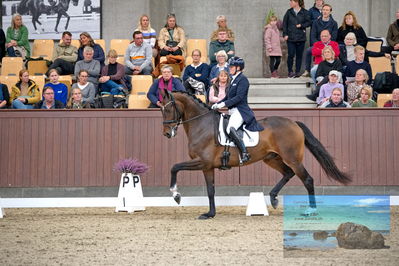 Blue Hors
7 års finale
Keywords: lone bang larsen;poseidon majlund