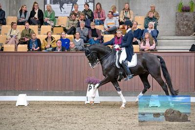 Blue Hors
7 års finale
Keywords: karin nissen;scaglietti v