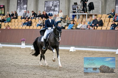 Blue Hors
7 års finale
Keywords: karin nissen;scaglietti v