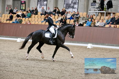 Blue Hors
7 års finale
Keywords: signe kirk kristiansen;suarez