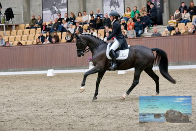 Blue Hors
7 års finale
Keywords: everian l;anna kasparcack