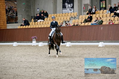 Blue Hors
7 års finale
Keywords: ceciie lyndrup;steanagers faramir dwb