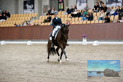 Blue Hors
7 års finale
Keywords: ceciie lyndrup;steanagers faramir dwb