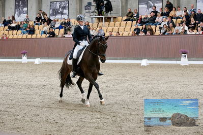 Blue Hors
7 års finale
Keywords: ceciie lyndrup;steanagers faramir dwb