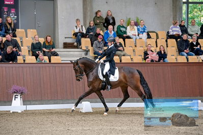 Blue Hors
7 års finale
Keywords: ceciie lyndrup;steanagers faramir dwb