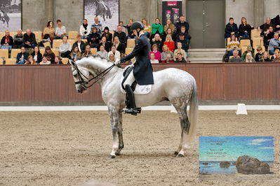 Blue Hors
7 års finale
Keywords: anders uve sjoebeck hoeck;highfive fuglsang