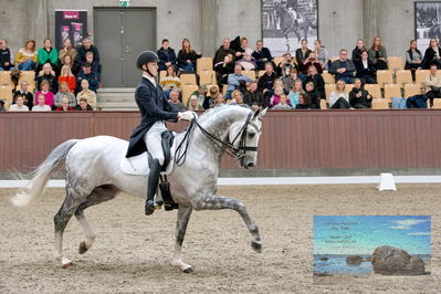 Blue Hors
7 års finale
Keywords: anders uve sjoebeck hoeck;highfive fuglsang