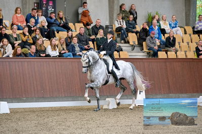 Blue Hors
7 års finale
Keywords: anders uve sjoebeck hoeck;highfive fuglsang