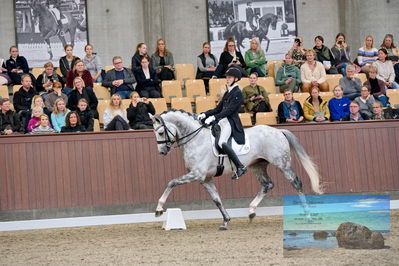 Blue Hors
7 års finale
Keywords: anders uve sjoebeck hoeck;highfive fuglsang