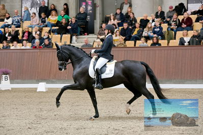 Blue Hors
5 års finale dressur
Keywords: victoria e vallentin;lyngbjergs st paris