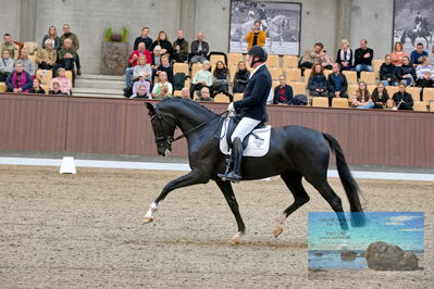 Blue Hors
5 års finale dressur
Keywords: michael soegaard;soebakkehus duffy