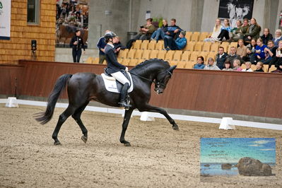 Blue Hors
5 års finale dressur
Keywords: betina jaeger jensen;so perfect