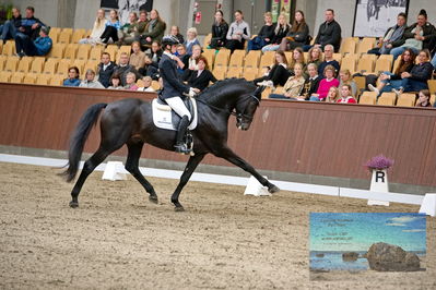 Blue Hors
5 års finale dressur
Keywords: betina jaeger jensen;so perfect