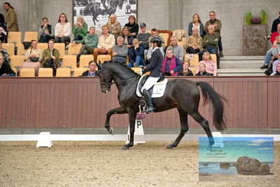 Blue Hors
5 års finale dressur
Keywords: betina jaeger jensen;so perfect