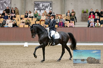 Blue Hors
5 års finale dressur
Keywords: betina jaeger jensen;so perfect