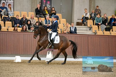 Blue Hors
5 års finale dressur
Keywords: tania joensen;blue hors vento