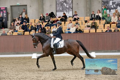 Blue Hors
5 års finale dressur
Keywords: frederikke gram jacobsen;zanderry danheat