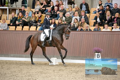 Blue Hors
5 års finale dressur
Keywords: frederikke gram jacobsen;zanderry danheat