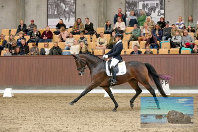 Blue Hors
5 års finale dressur
Keywords: anne-marie hosbond;roxette