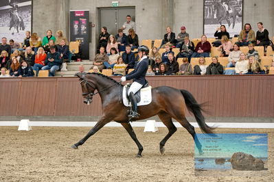 Blue Hors
5 års finale dressur
Keywords: anne-marie hosbond;roxette