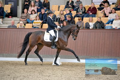 Blue Hors
5 års finale dressur
Keywords: anne-marie hosbond;roxette