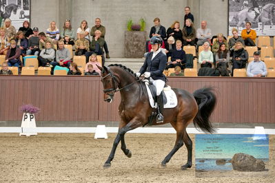 Blue Hors
5 års finale dressur
Keywords: anne-marie hosbond;roxette