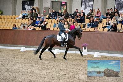 Blue Hors
5 års finale dressur
Keywords: eric guardia marrtinez;feine bella nrw