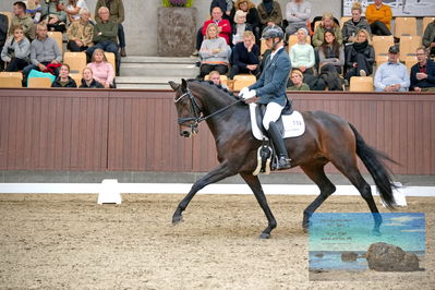 Blue Hors
5 års finale dressur
Keywords: eric guardia marrtinez;feine bella nrw