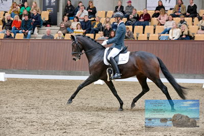 Blue Hors
5 års finale dressur
Keywords: eric guardia marrtinez;feine bella nrw