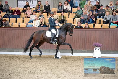 Blue Hors
5 års finale dressur
Keywords: eric guardia marrtinez;feine bella nrw