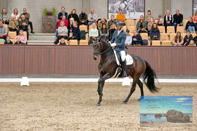 Blue Hors
5 års finale dressur
Keywords: eric guardia marrtinez;feine bella nrw