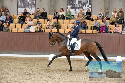 Blue Hors
5 års finale dressur
Keywords: nanna skjold merrald;blue horse monte carlo