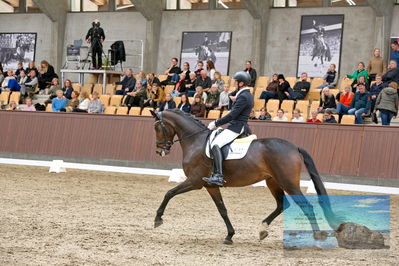 Blue Hors
5 års finale dressur
Keywords: michael groenne christensen;vestermarkens shakira