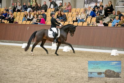 Blue Hors
5 års finale dressur
Keywords: josefine dahl hoffman;rosie k