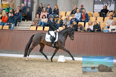 Blue Hors
5 års finale dressur
Keywords: josefine dahl hoffman;rosie k