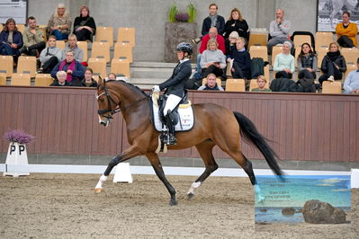 Blue Hors
5 års finale dressur
Keywords: lovisa wessblad;francisca-d