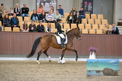 Blue Hors
5 års finale dressur
Keywords: lovisa wessblad;francisca-d