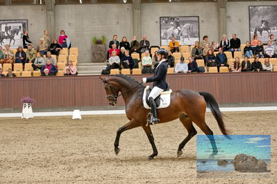 Blue Hors
5 års finale dressur
Keywords: anne-marie hosbond;danesa nord