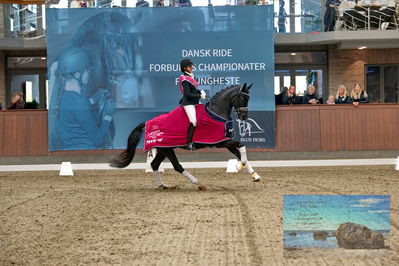 Blue Hors
5 års finale dressur
Keywords: lyngbjergs st paris;victoria e vallentin;lap of honour