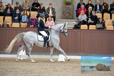 Blue Hors
6 års finale
Keywords: sissel bille jacobsen;dune nec