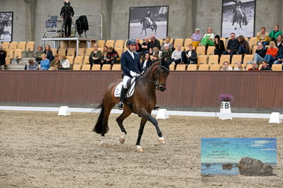 Blue Hors
6 års finale
Keywords: severo jurado lopez;krones kingston