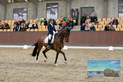 Blue Hors
6 års finale
Keywords: severo jurado lopez;krones kingston