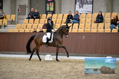 Blue Hors
6 års finale
Keywords: susanne barnow;skovdals dexter