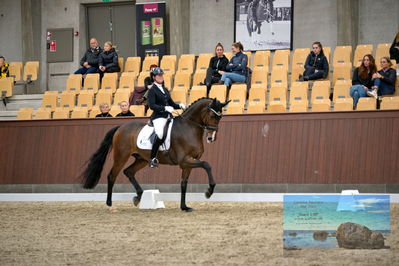 Blue Hors
6 års finale
Keywords: susanne barnow;skovdals dexter